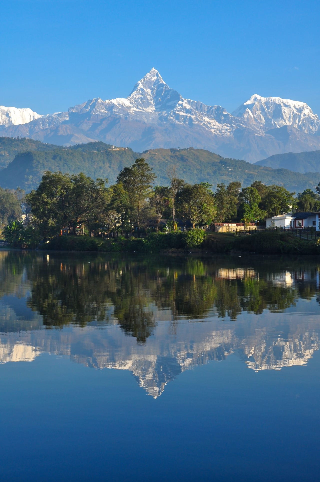 Machapuchare reflected in the calm water of Phewa Lake, Pokhara