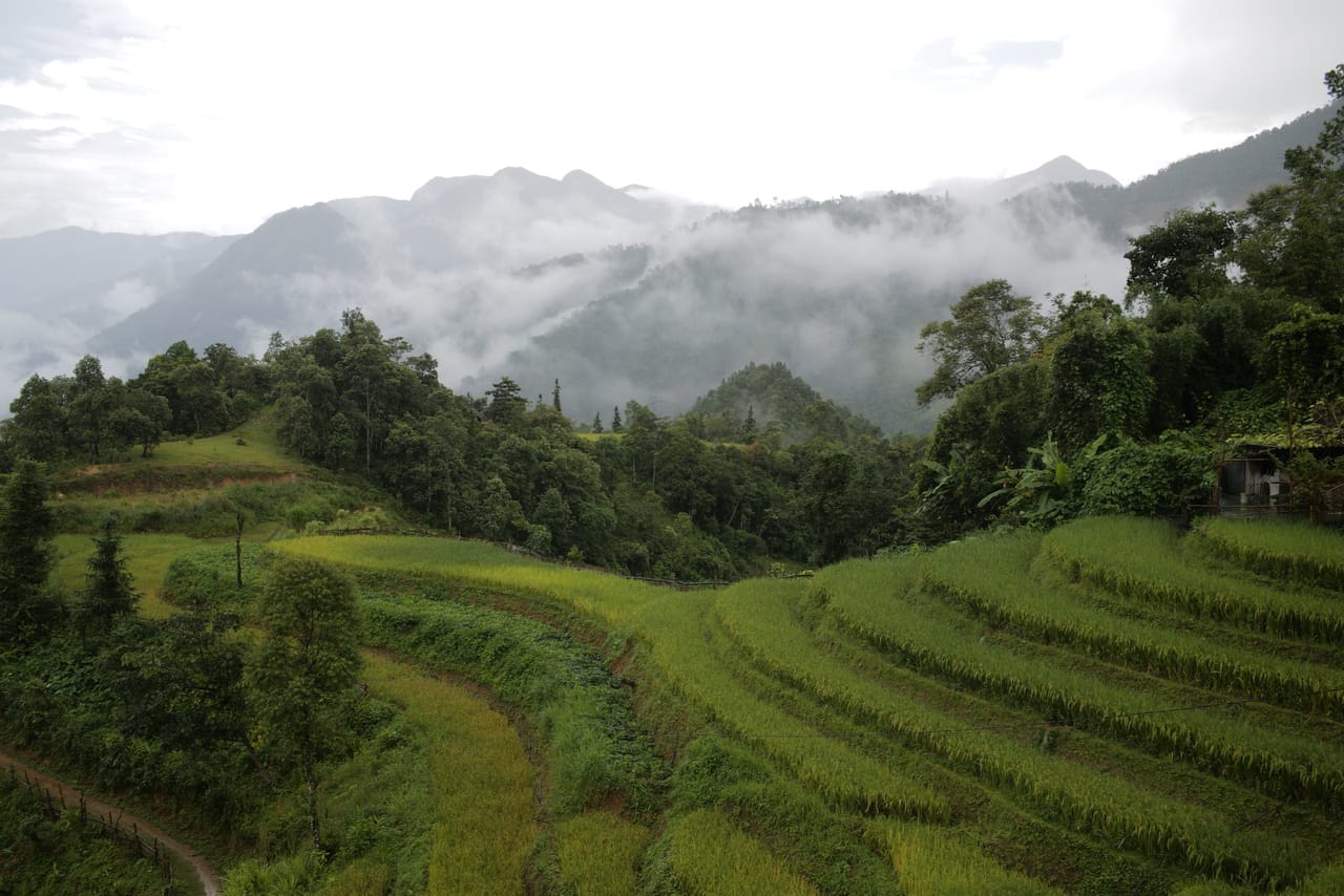 Rice terraces stepping down through the fog above Sa Pa